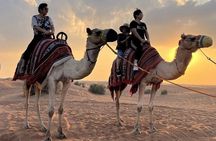 Dubai: Premium Desert Red Dunes 4x4 Pick/Drop 5* Dinner LiveShows
