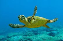 Kemer Scuba Diving and Snorkeling Trip