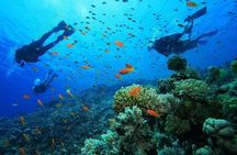 Kemer Scuba Diving and Snorkeling Trip