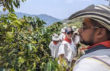 Horseback Riding Tour and Coffee Tour with Lunch and Refreshment