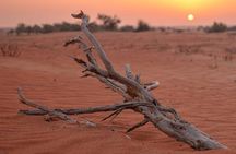 Multi Day Tour from Fes to Marrakech With Erg Chebbi Dunes