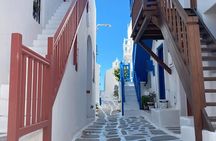 Flexible Private Tour Of Mykonos From 1 To 8 Hours