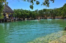 Rio Lizards and Las Coloradas Ecosafari Maya Natural Experience