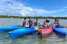 Family Friendly Dolphin Nature Kayak Tours in Hilton Head