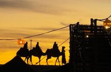 half day in the agafay desert (Quad/camel/dinner)