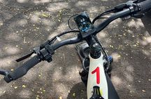 Experience Fort Collins by E Bike Guided Tour