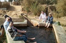 White desert and Bahariya oasis 3 days tour