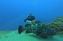 Scuba Diving in Lanzarote (for certified divers only)