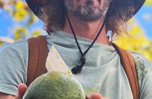 Pick and Taste Tropical Fruit