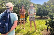 Pick and Taste Tropical Fruit
