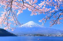 Mount Fuji Highlights Full Day Bus Tour from Tokyo