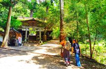 Kyoto: Kurama Temple and Mountain Legends Guided Hike