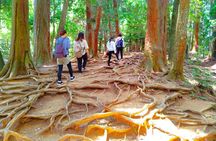 Kyoto: Kurama Temple and Mountain Legends Guided Hike
