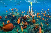 Bali Blue Lagoon Snorkeling with Lunch & Private Hotel Transfer