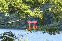 Hakone Shrine and Checkpoint Guided Tour-Van