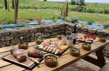 Bordeaux Wine Trails: Saint Emilion Full Day Wine and Bike Tour
