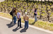 Medoc Afternoon Wine Tour - 2 Wineries, tastings & delicacies