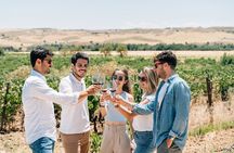 Toledo City Tour, Winery Experience & Wine Tasting from Madrid