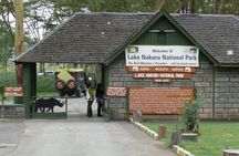 Nakuru National Park Day Trip from Nairobi