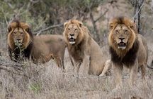 7 Day Tour in Kenya National Parks