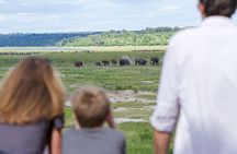 Chobe Safari Day Trip from Victoria Falls