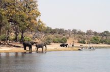 Chobe Safari Day Trip from Victoria Falls