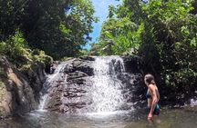 Full Day Waterfalls of Puerto Rico: Central Mountains Escape