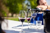 Medoc Afternoon Wine Tour - 2 Wineries, tastings & delicacies