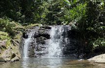 Full Day Waterfalls of Puerto Rico: Central Mountains Escape