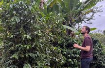 Coffee & Waterfalls Tour: from the mountains to the cup 