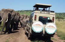  Tanzania 5 Big Safari