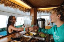 Premium Snorkel Sunset Cruise with Whale and Dolphin Watch 