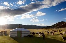 Reindeer Family Tour with Naadam Festival and Gobi Desert