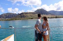 Oahu: Snorkeling Cruise and Dolphin Watch With Hawaiian Buffet