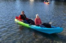Crystal River: Tandem Kayak Rental to Three Sisters Springs