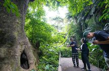 Okinawa Shuri Castle Peace Walking Tour