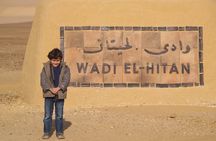 Private Tour To Fayoum Oasis and Wadi Al Rian From Cairo