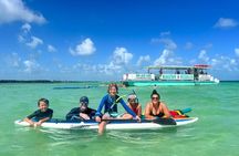 Sandbar Adventure