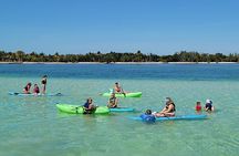 Sandbar Adventure