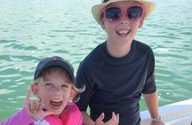 Private Dolphin Sightseeing Excursion