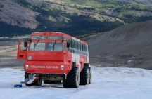 Columbia Icefield Bow Lake Peyto Lake Day Tour