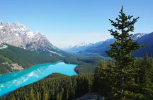 Columbia Icefield Bow Lake Peyto Lake Day Tour