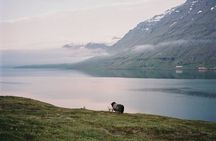 Seyðisfjörður coast jeep tour