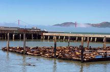 Golden Gate Bay Voyage & Fisherman's Wharf Walking Tour