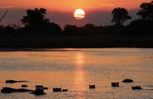From Marloth Park Sunset River Cruise Safari