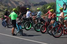 Garden of the Gods Original Electric e-Bike Tour 