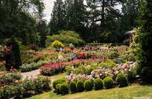 Portland's Top Sights Half Day City Tour