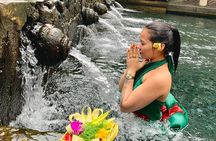 Bali Ubud Tour Monkey Forest, Waterfall, Temple & Rice Terrace