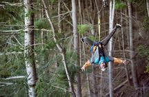 Zip and Sip Ziplining and Wine Tour Combo