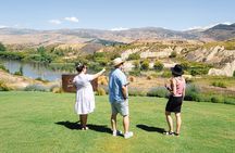 Premium Small-Group Wine Tour, 4 Wineries, Lunch from Queenstown